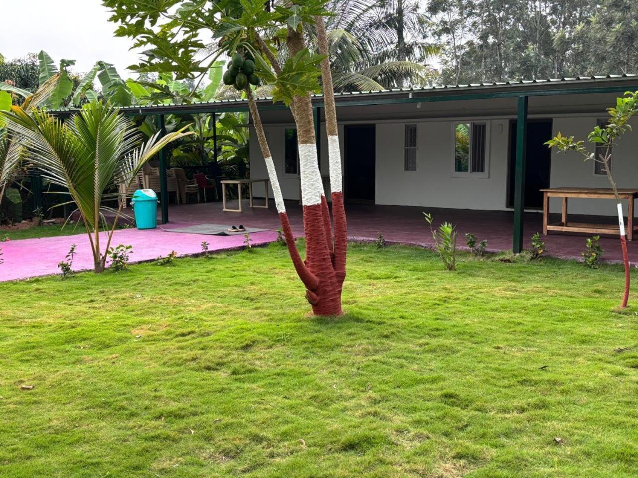 Bilwa Retreat Eco Stay & Sports Bangalore Eksteriør bilde